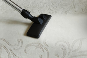 tampa area rug cleaning